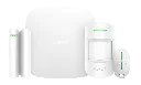 StarterKit bunch white (1).webp